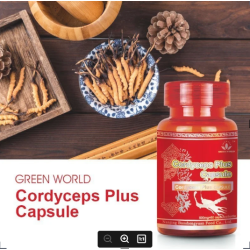 Cordyceps Plus Capsule 500mg*60caps/bottle
