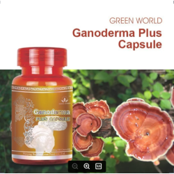 Ganoderma Plus Capsule 300mg*60caps/bottle